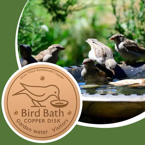 Vogelbad-Kupferscheibe, 99,99 % reines Kupfer, Vogelbad-Reinigungsscheiben, physikalische Reinigung, Wasser, Vogelbad-Scheibe, Wassernapf für Vögel