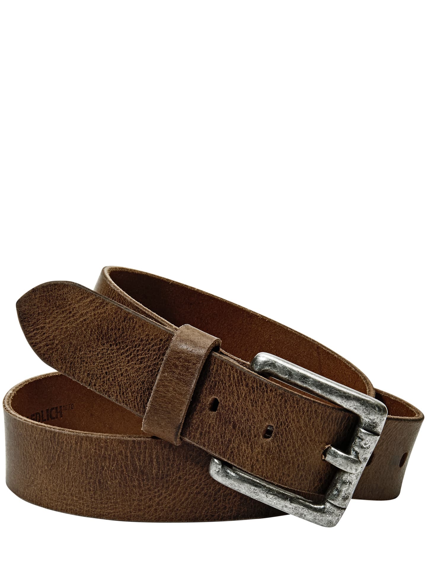 Evolutionsgürtel Image