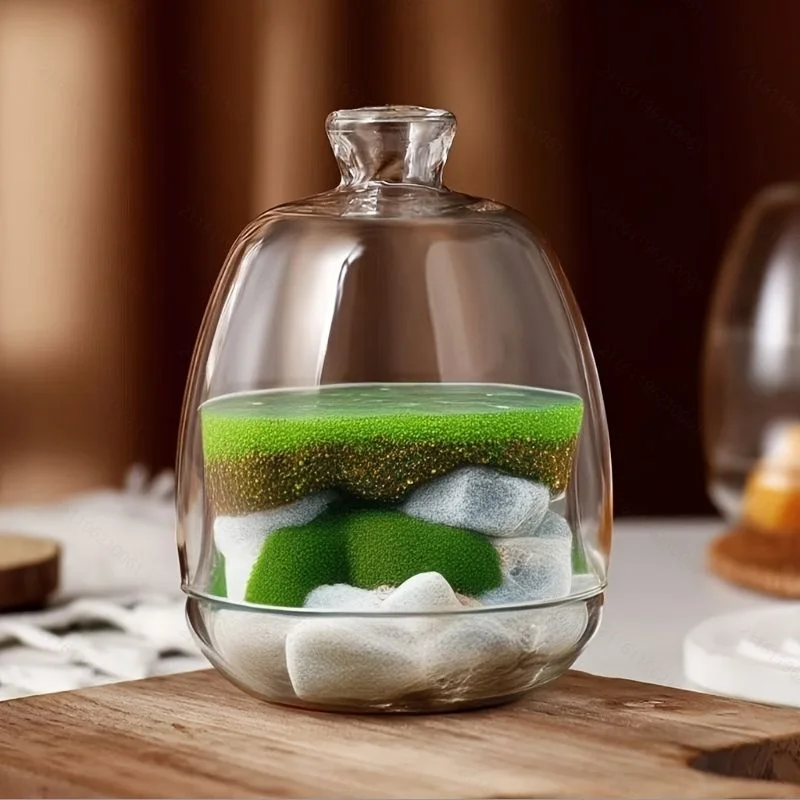 Mikrolandschaft, ökologische Moosglasflaschen mit Deckel, Glasvase, grüne Pflanze, mikroökologisches Glas, Terrarium, Vegetation enthalten Image