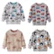 Metri di salto Nuovo arrivo Autunno Primavera Tigri Stampa Felpe per bambini Manica lunga Abbigliamento per bambini Animali Camicie sportive per bambini