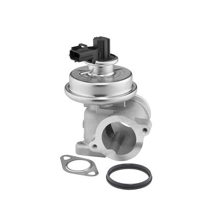 Borgwarner AGR-Ventil [Hersteller-Nr. 712064D] für Ford Image