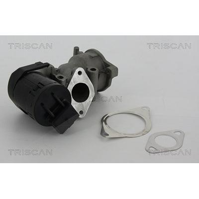 Triscan AGR-Ventil [Hersteller-Nr. 881310001] für Citroën, Fiat, Ford, Lancia, Peugeot, Volvo Image