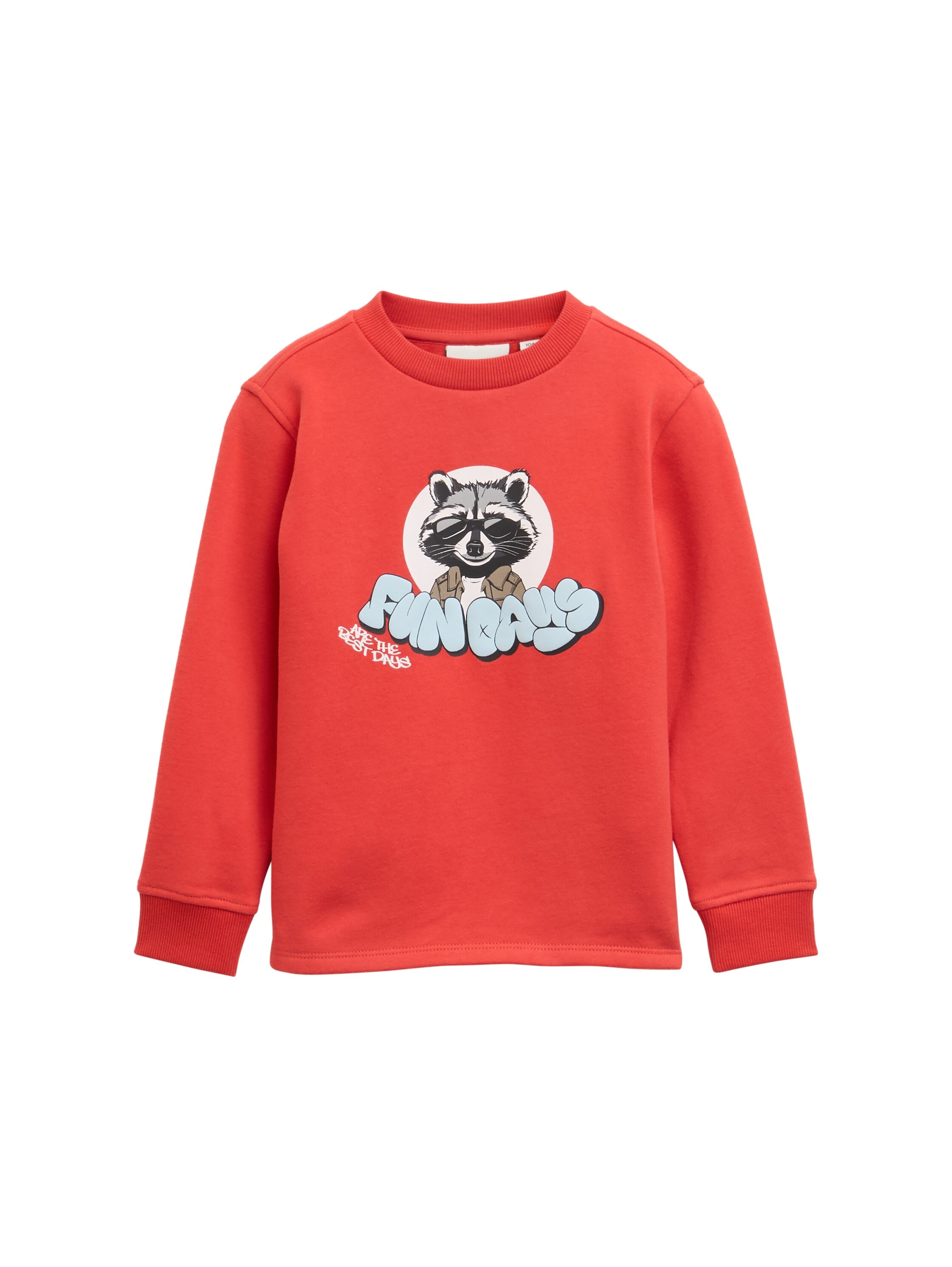 Sweater TOM TAILOR, Jungen, Gr. 104/110, rot (soft rot), Sweatware, Obermaterial: 70% Baumwolle, 30% Polyester, bedruckt, regular fit hüftbedeckend, Rundhals, Bündchen, Sweatshirts Sweater, mit Print