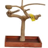 Table Top Java Tree Stand, Small, Natural Wood