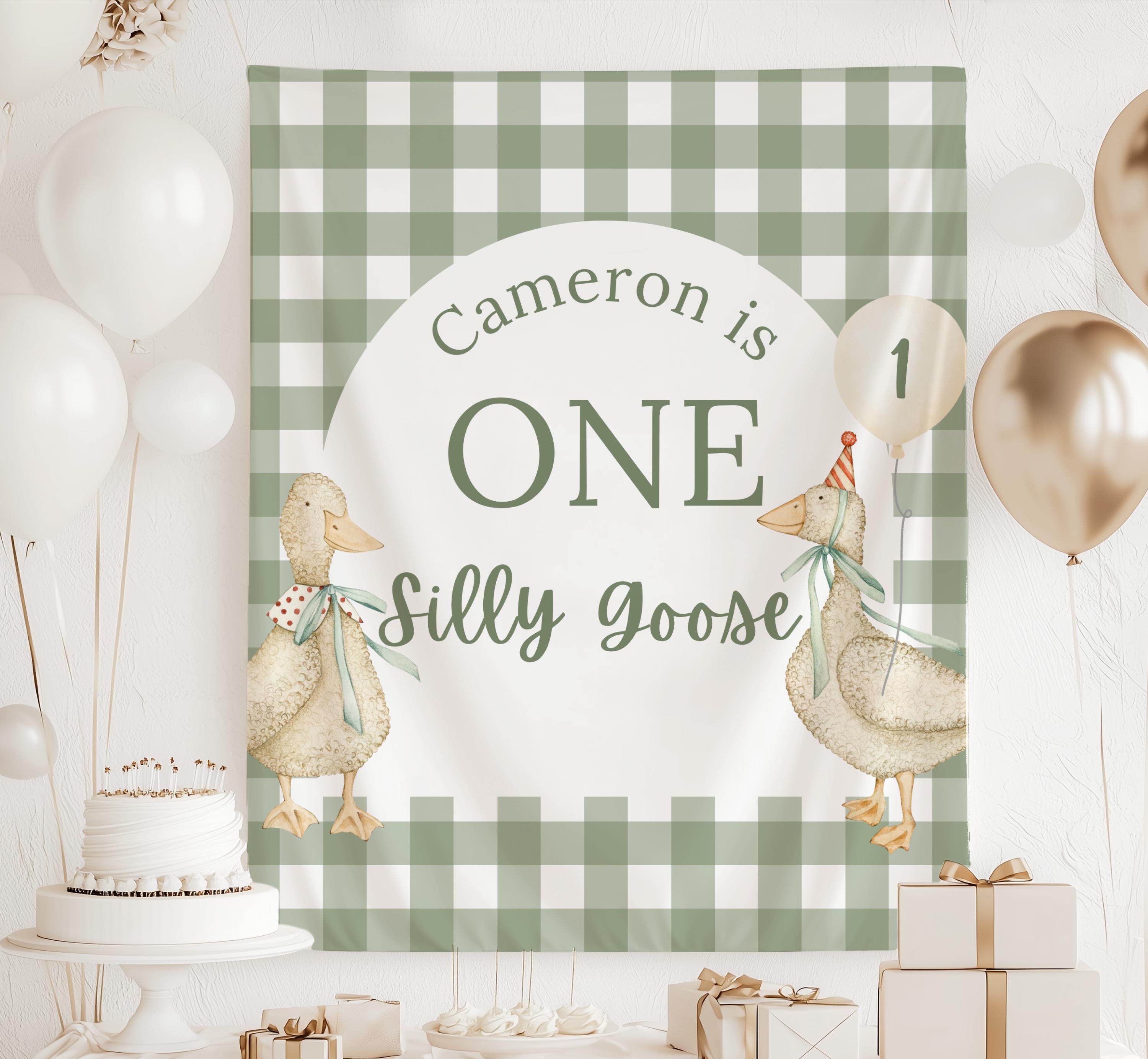 Decorazioni per il compleanno di One Silly Goose, striscione di One Silly Goose, cartello di One Silly Goose, sfondo fotografico di Silly Goose, decor