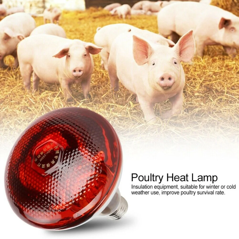 Zuchtheizlampe E27 220 V 100–275 Watt Infrarot-Wärmelampe Geflügel Brutapparat Küken Schlüpfen Welpen Ferkel Glühbirne Beleuchtung Image