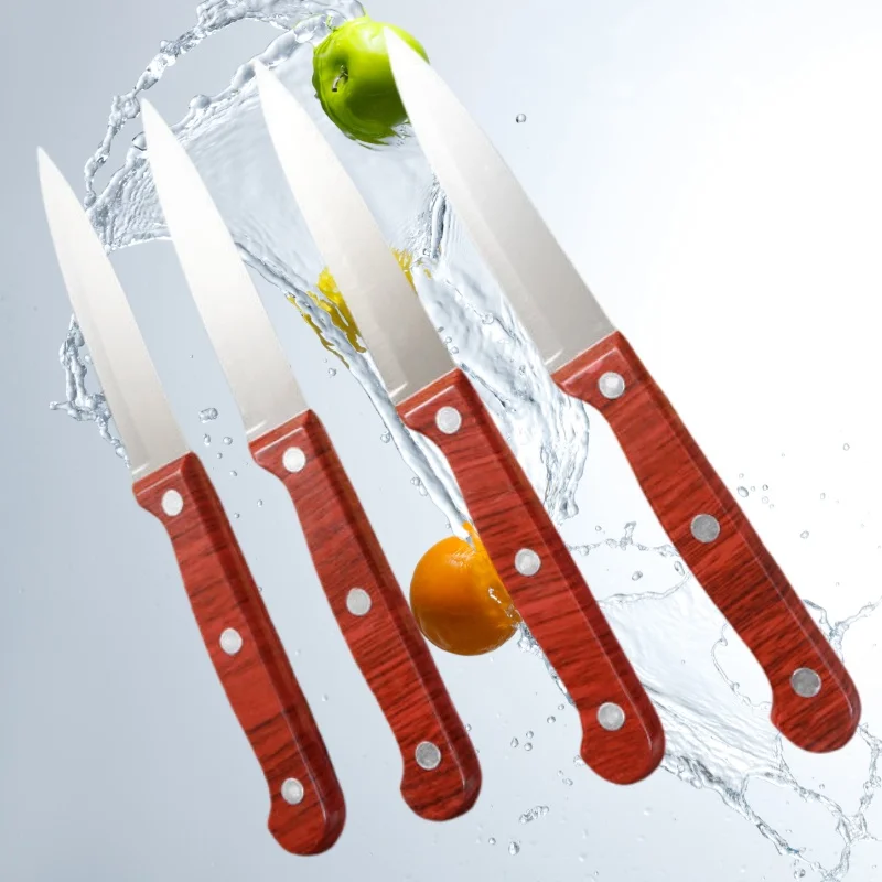 Ein beliebtes Obstmesser aus Edelstahl für gerade Küchenmesser. Ein kleines Küchenzubehör und ein handgehaltenes Obstmesser aus Holz Image