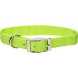 Metal Buckle Nylon Personalized Dog Collar in Lime, 1" Width, Medium/Large, Green