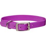 Personalized Orchid Single-Ply Dog Collar, Small, Purple
