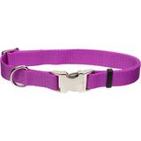 Metal Buckle Nylon Adjustable Personalized Dog Collar in Orchid, 3/4" Width, Medium/Large, Purple