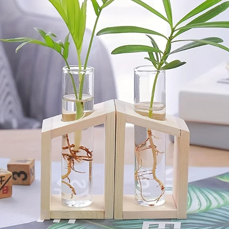 Reagenzglas-Glasvase, Pflanzenvermehrungsstation, Hydrokultur-Vasen für Pflanzen mit Holzständer, Terrarium, Büro, Zuhause, Desktop-Dekoration