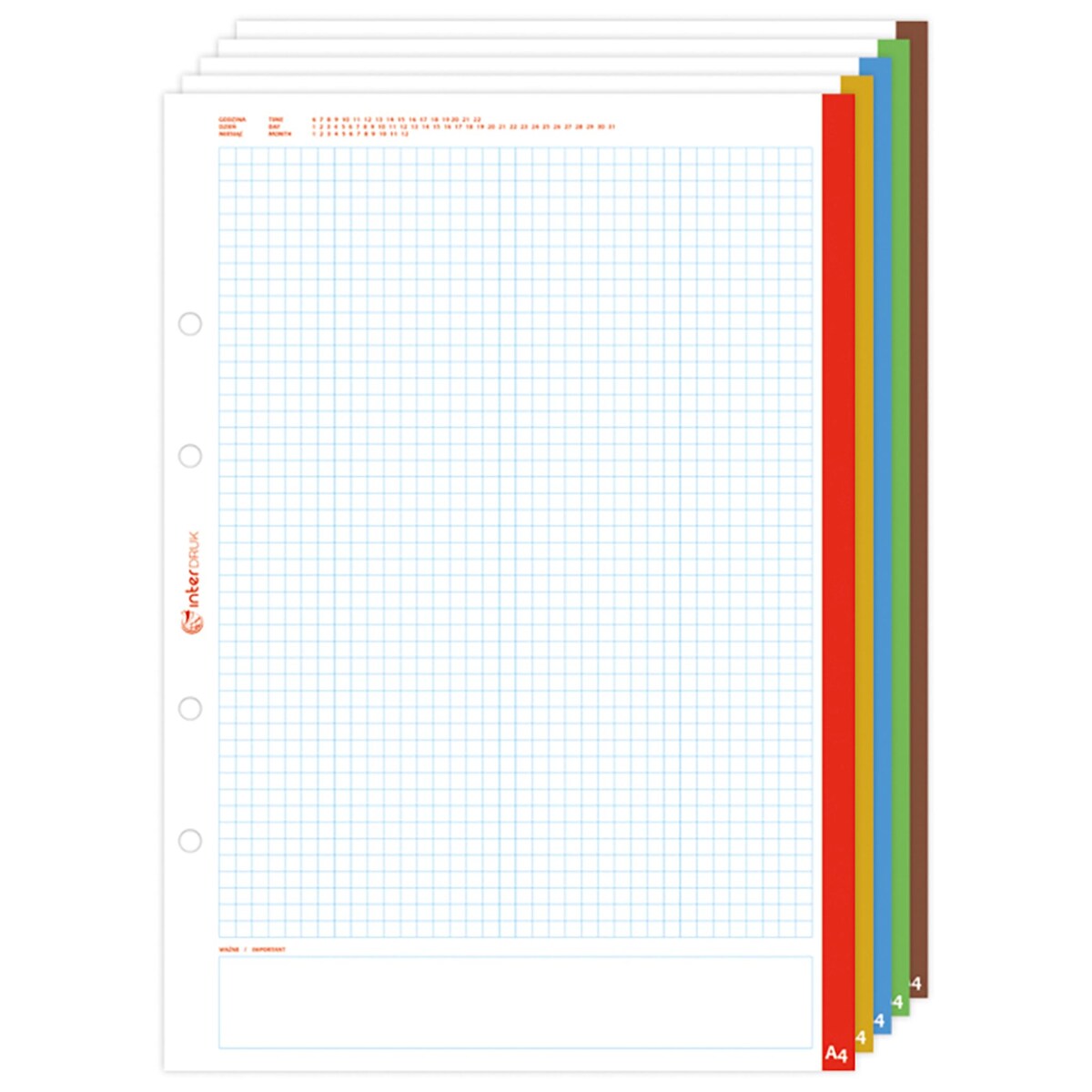 Interdruk Ringbucheinlage A4 kariert 50 Blatt mehrfarbiger Rand Image