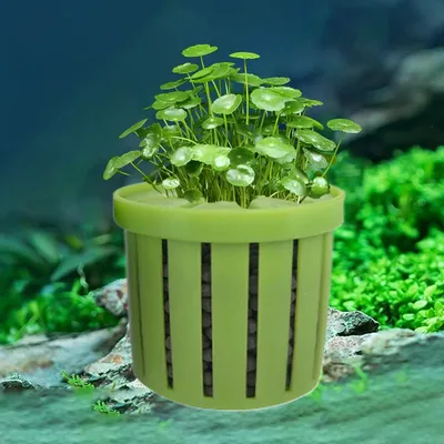 Aquarium Plant Holder Stable Fish Tank Plant Basket Aquarium Hydroponics Planting Holder Water Feature Decoration Accessories