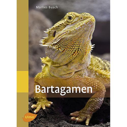 Bartagamen - Marlies Busch, Kartoniert (TB)