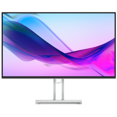 L24i-4A 23.8" IPS FHD 100Hz Monitor