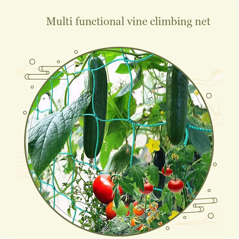 Pflanze Klettern Reben Net Gartenbau Gitter Net Gurke Hängen Melone Klettern Net Halterung Net Chrysantheme Wind beständig Net Image