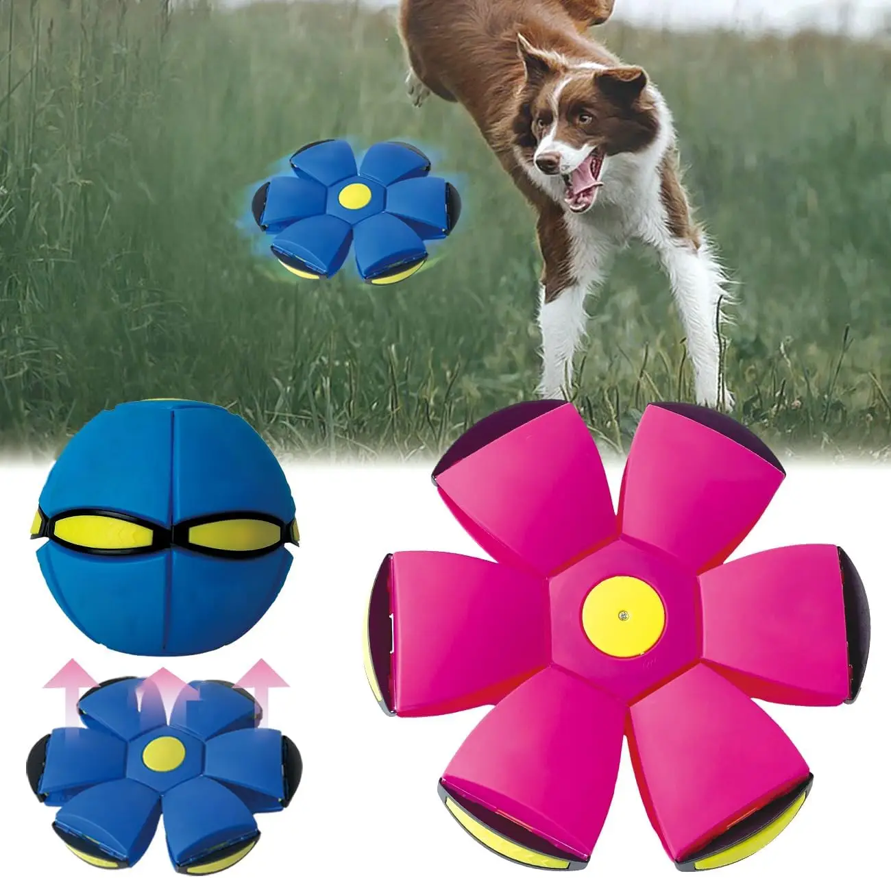 Soucoupe volante jouet pour animaux de compagnie, jouet pour chien soucoupe volante pour chien interactif, chats, ballon de pied pour enfants, jeux de plein air, jeux de Camping