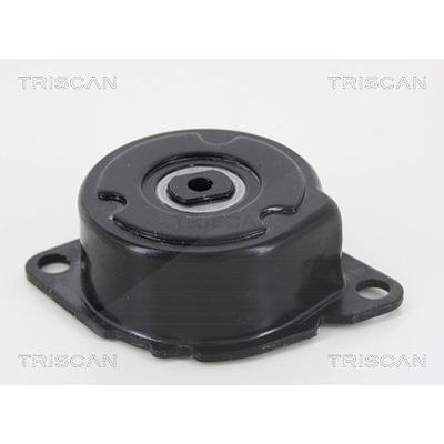 Triscan Riemenspanner, Keilrippenriemen [Hersteller-Nr. 8641113035] für BMW Image