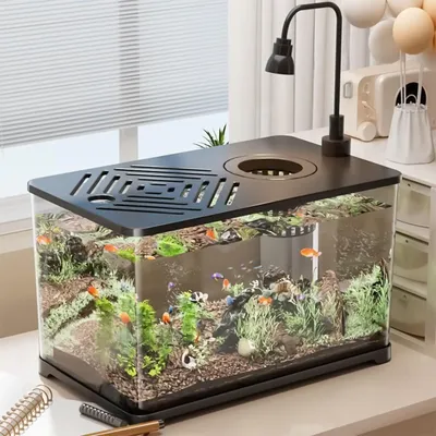 Betta Fish Tank Desktop Large Fish Tank Aquarium Modern Container With Turtle Resting Area Home Decorations For Betta Shrimp