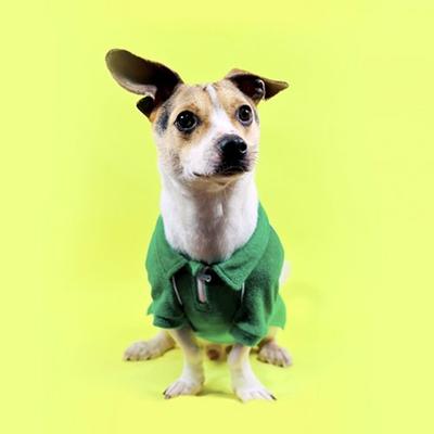 petderdllaproject Tennis Terry T-Shirt_Green