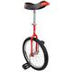 Indy Deluxe Unicycle 20 inch Single Wheel Unicycles | Ideal for both Children and Adults | One Wheel Bike Tires Trainer Unicycle | Balance Cycling Exercise
