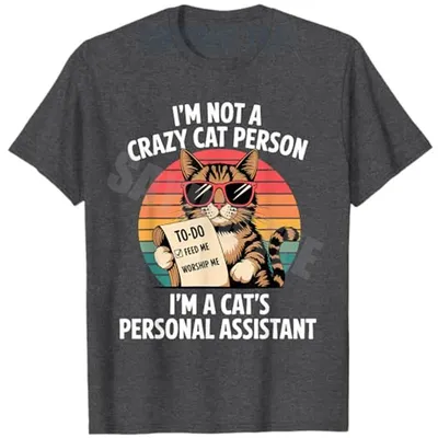 Funny Cat Lover Design for A Cat Lady or Cat Person T-Shirt Y2k Kitten Sarcastic Joke Saying Tee Novelty Gfit Humorous Kitty Top