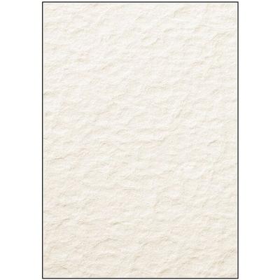 Sigel Motivpapier Papyra DP243 DIN A4 100 Stück Image