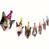 Alles Gute zum Geburtstag Banner Katze Girlande Lustige Geburtstag Dekor Katze Gesicht Geburtstag Party Bunting Dekorationen Gold Geburtstag Zeichen Kätzchen Geburtstag P