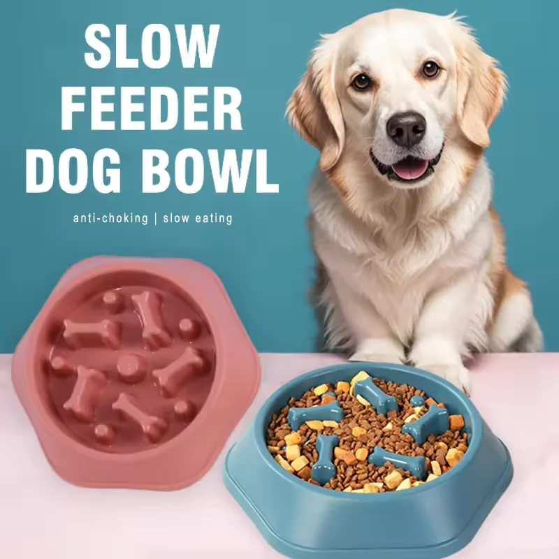 Bol de nourriture lente pour chien, bol pour chien, bol pour chien, bol d'alimentation antidérapant pour animaux de compagnie, bol de nourriture pour petit chien et grand chien, bol pour chat,