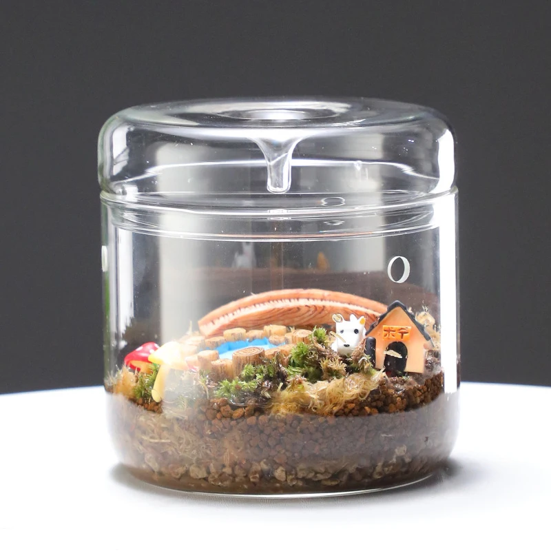 1PC Micro Landschaft Sukkulenten Moos Landschaft Glas Terrarium Wohnkultur Kreativität Tau Sammlung Glas Vase Glas Flaschen Neue