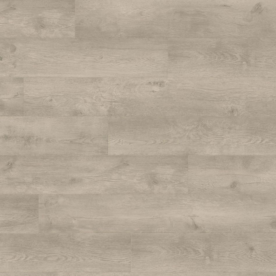 HARO Laminat Landhausdiele TRITTY 100 TC 4V Eiche Bergamo silbergrau authentic soft, Mit Silent Pro Dämmunterlage Image