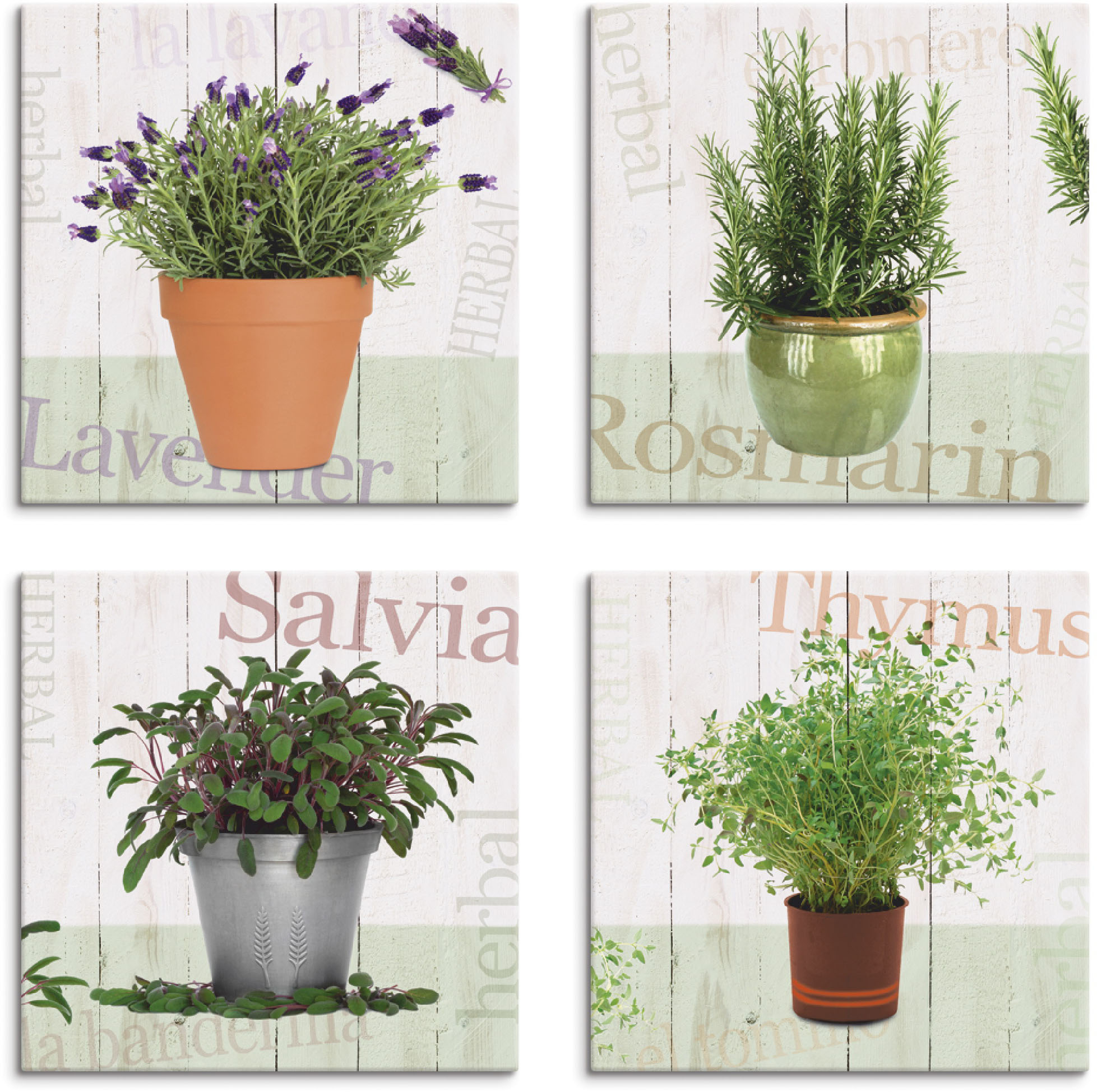 Leinwandbild ARTLAND "Lavendel, Rosmarin, Salbei, Thymian", beige (farbe bild(er): naturfarben), B:20cm H:20cm, Canvas, Leinwand, MDF, Bilder, 4er Set, verschiedene Größen Image