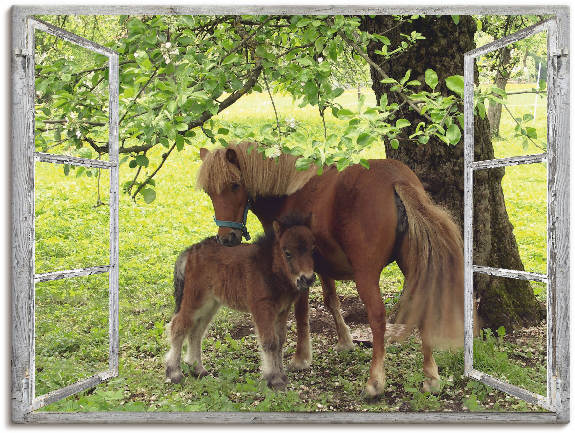 Wandbild ARTLAND "Fensterblick - Pony mit Kind", grün (farbe bild(er): grün), B:60cm H:45cm T:1,8cm, Canvas, Leinwand, Bilder, als Leinwandbild, Poster, Wandaufkleber in verschied. Größen Image