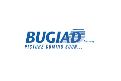 Bugiad Waschwasserdüse, Scheinwerferreinigung [Hersteller-Nr. BHW16598] für Audi Image