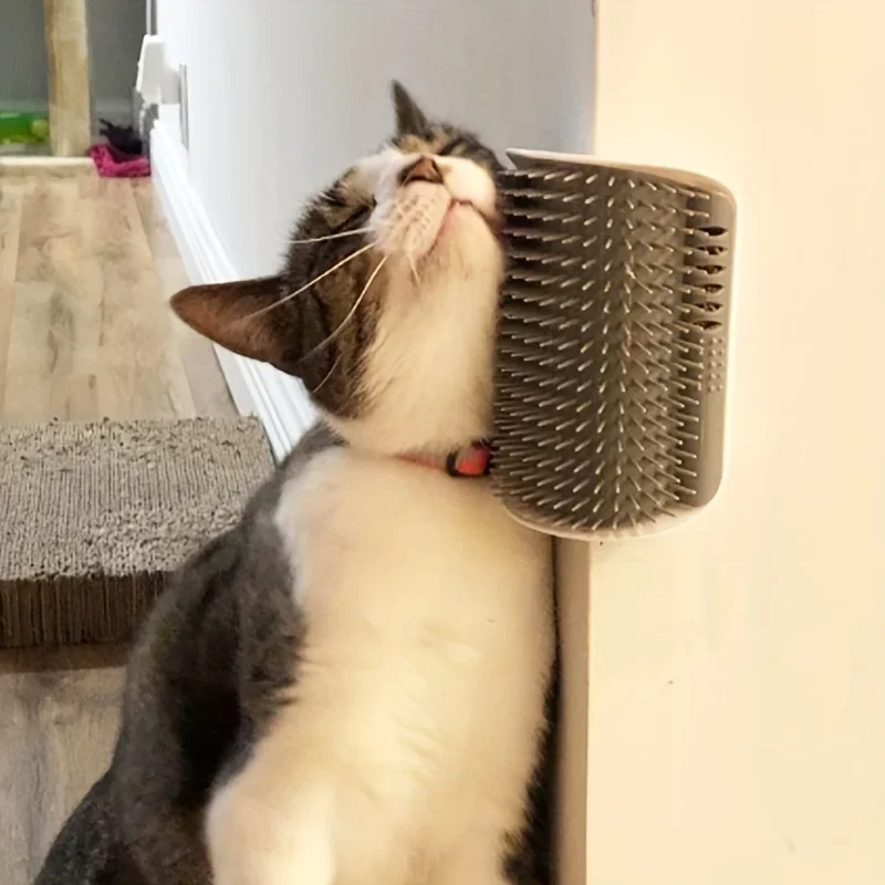 Selbstpflege für Katzen mit Massagekammbürste – perfekt für die Pflege und Entspannung von Kätzchen und Welpen zur Wandmontage Image
