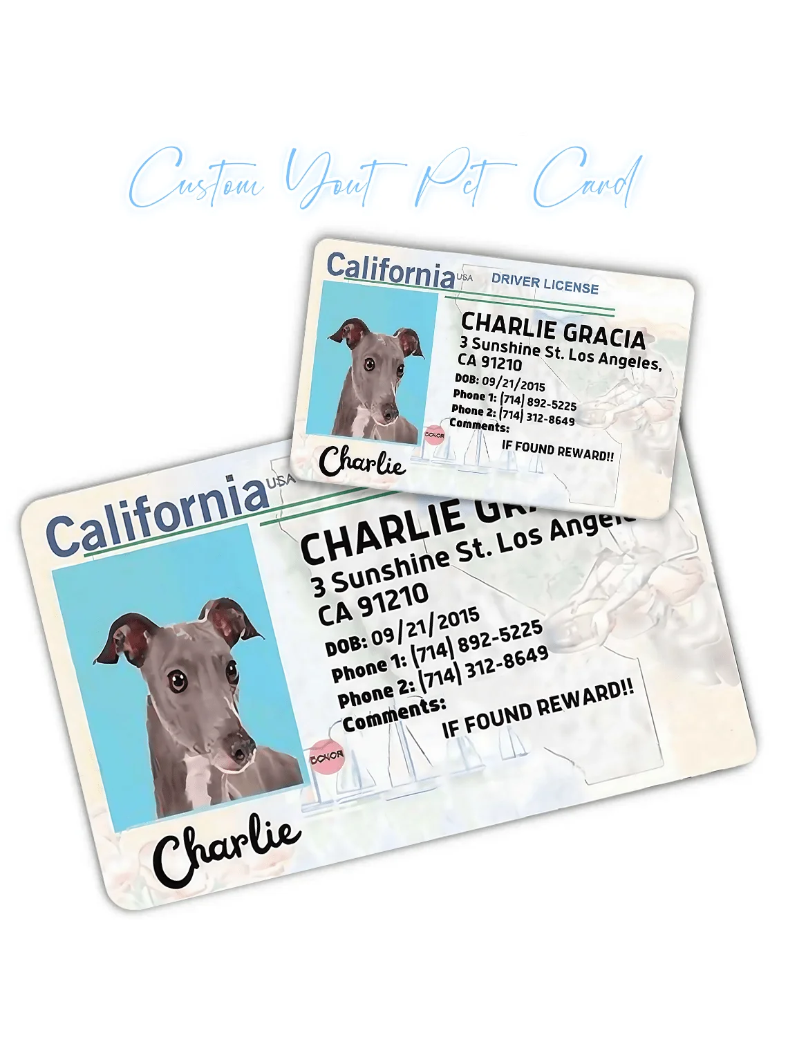 Benutzerdefinierte Haustier-Hundekarte, PVC-Haustierkarte, personalisierte Haustier-ID-Karte, Haustier-Geburtstagsgeschenk, perfekte Brieftasche-Haustierkarte, Geschenk für Haustiere