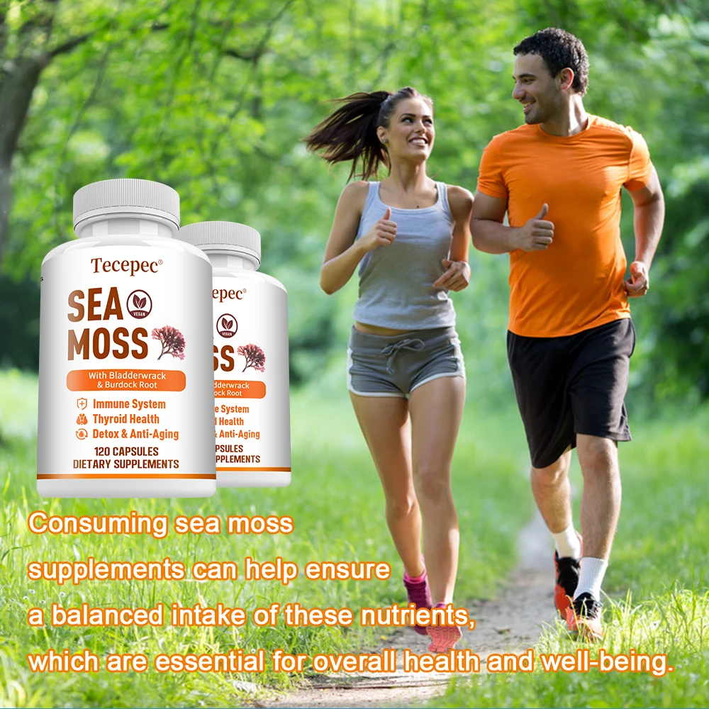 Vegetarian Organic Sea Moss Pill Plus Bladder & Burdock Root for Intestinal Health & Immune Support Supplements, 120 Capsules
