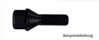 EIBACH Kegelbundschraube M14x1,5x 25mm SW17 Universal schwarz S1-1-14-50-25-17-B Image