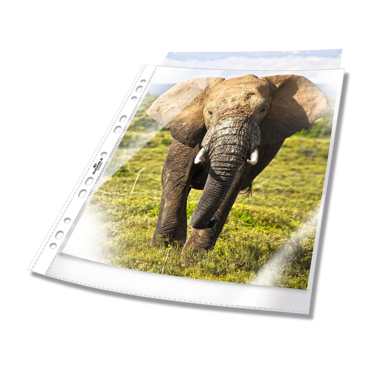 Durable Prospekthülle A4 60my 100St tr oben offen Universallochhung Image