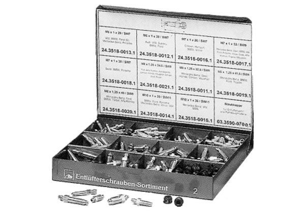 ATE Sortiment, Entlüfterschrauben 24.3516-0220.2 Image