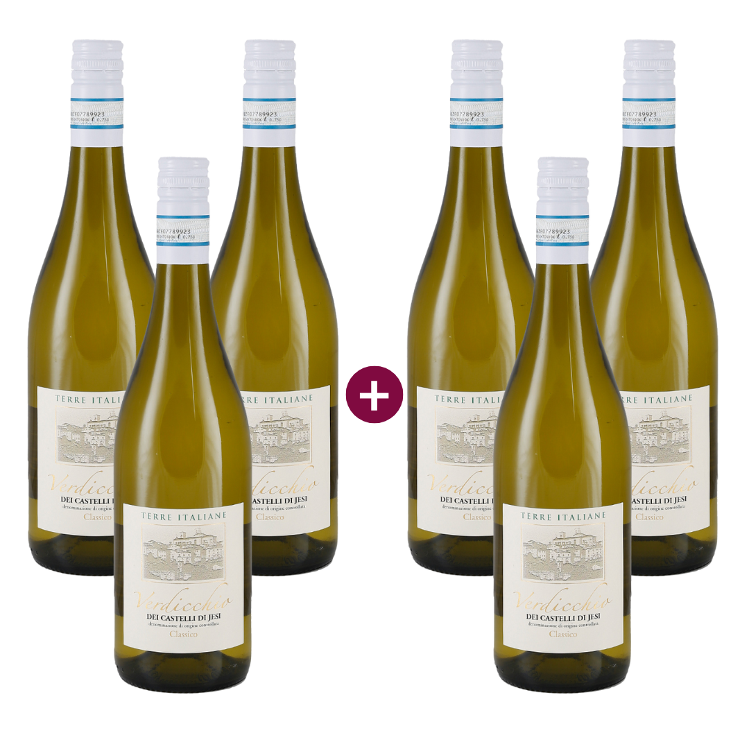 3+3 Terre Italiane Verdicchio dei Castelli di Jesi Classico 2024 Image