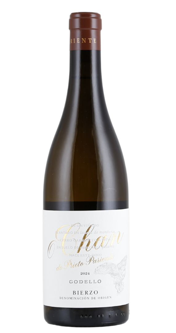 Prieto Pariente O Chan 2024 Image