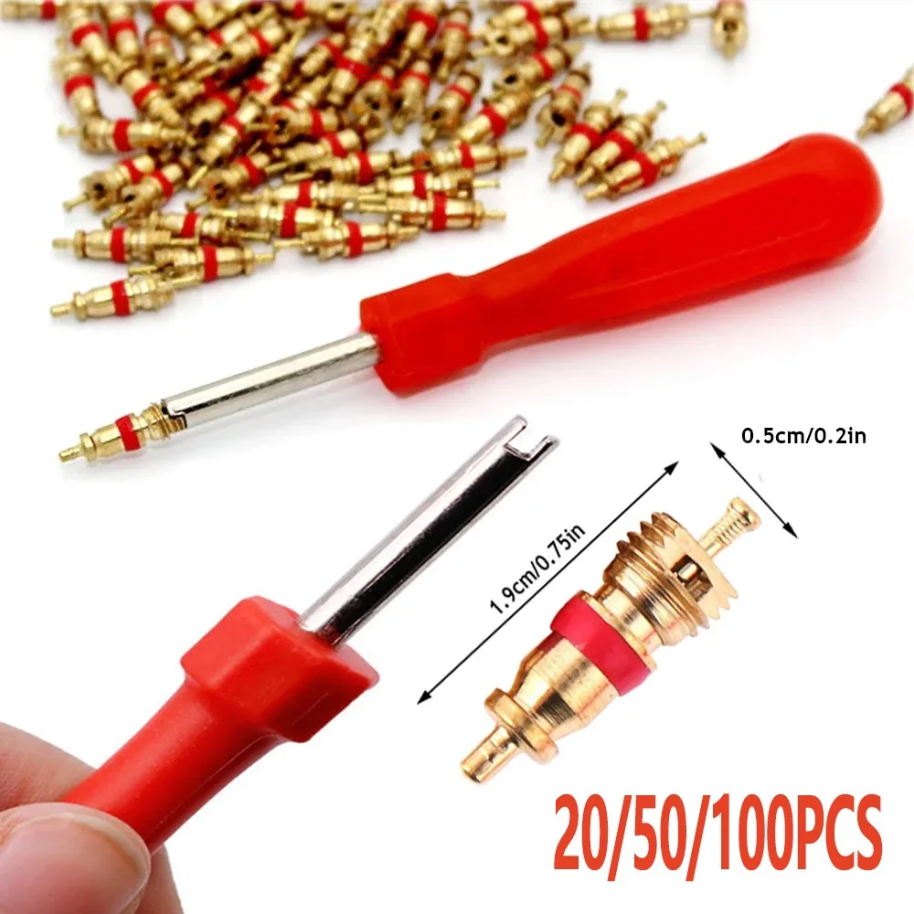 21/51/101 stücke Tragbare Reifen Ventil Core Remover Installer Werkzeug Entfernung Werkzeug Motorrad Reifen Reparatur Werkzeuge Schraubenschlüssel Schraubendreher Image