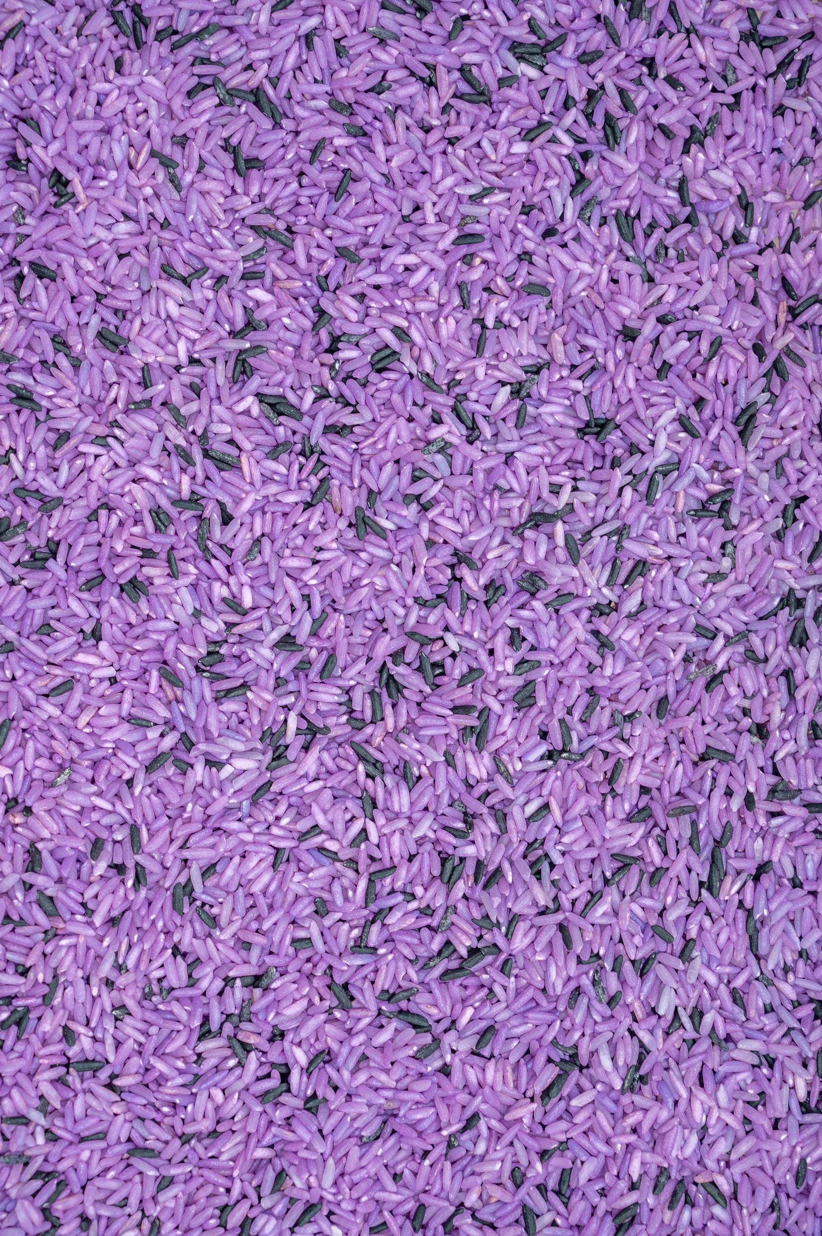 Riso sensoriale Witches Brew, riempitivo per contenitori sensoriali, riso colorato, gioco sensoriale, riempitivo per contenitori sensoriali luminosi,