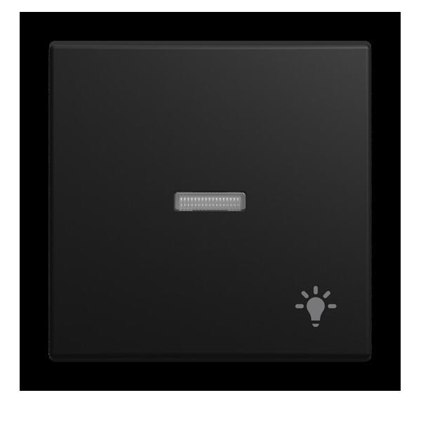 Busch-Jaeger Wippe mit Aufdruck 1789 LI-915 2CKA001731A4034 Image