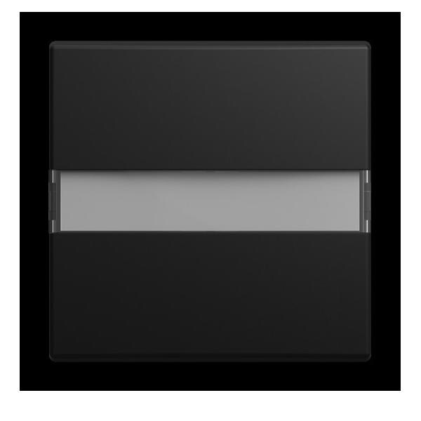 Busch-Jaeger Wippe 2506 N-915 2CKA001731A4042 Image