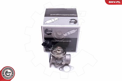 Esen Skv AGR-Ventil [Hersteller-Nr. 14SKV206] für Audi, Seat, VW Image