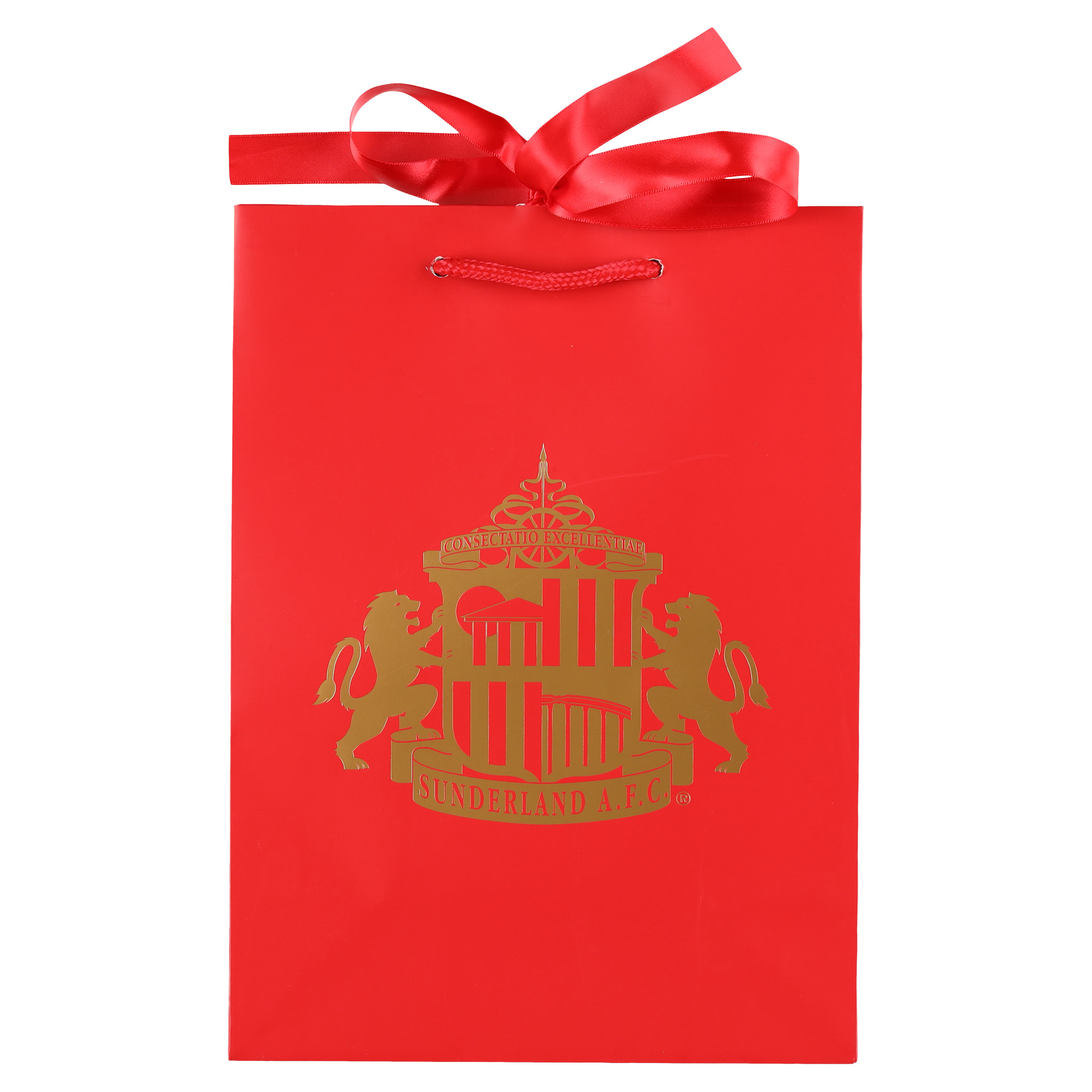 Luxus-Geschenktasche Sunderland – 220 x 300 mm (A4) Image