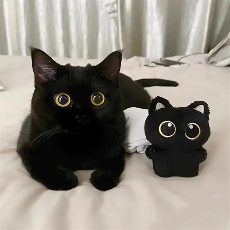 Niedlicher Plüsch-Katzen-Schlüsselanhänger, bezaubernder schwarzer großäugiger Kätzchen-Schlüsselanhänger, Cartoon-Rucksack, Schlüsselanhänger-Zubehör Image