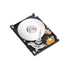 Seagate Momentus 80 GB Internal ATA-100 Notebook Hard Drive